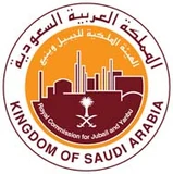Customer logo 31