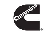 Customer logo 112